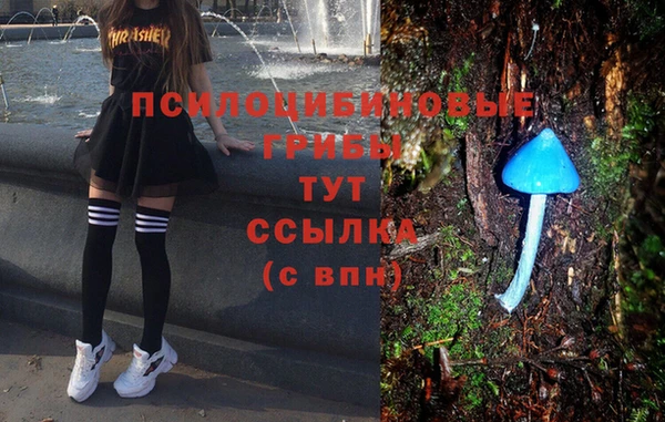 бутират Алексин
